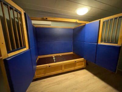 Therapie Pflegebett