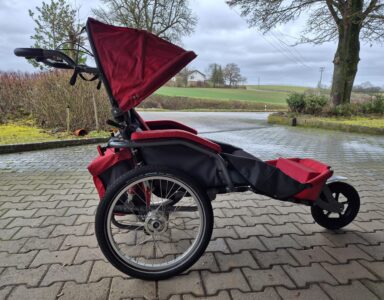 Rehabuggy / Fahrradanhänger