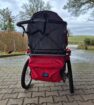 Rehabuggy / Fahrradanhänger - Rehabuggy / Fahrradanhänger